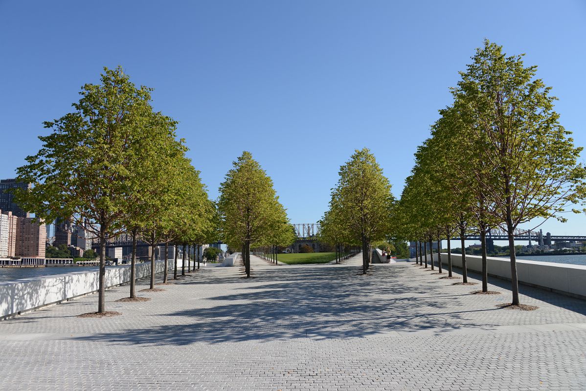 48 New York City Roosevelt Island Looking Back Up Franklin D Roosevelt Four Freedoms Park From The Statue